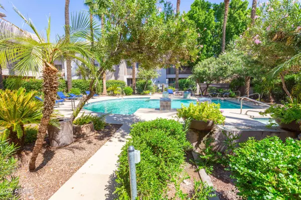 Phoenix, AZ 85016,4343 N 21st Street #224