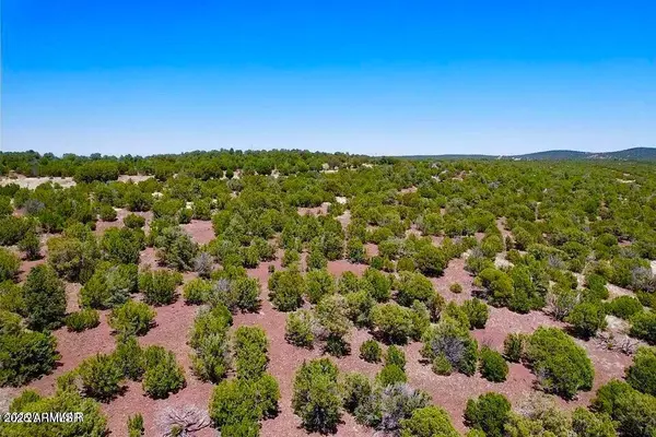 Vernon, AZ 85940,18 Co Rd N3321 1.04 Acres -- #-