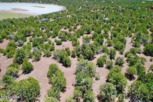 Vernon, AZ 85940,18 Co Rd N3321 1.04 Acres -- #-