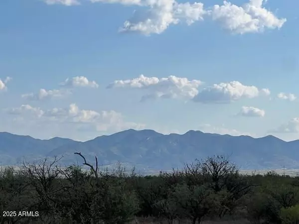 Whetstone, AZ 85616,Ronald Reagan Parkway #-