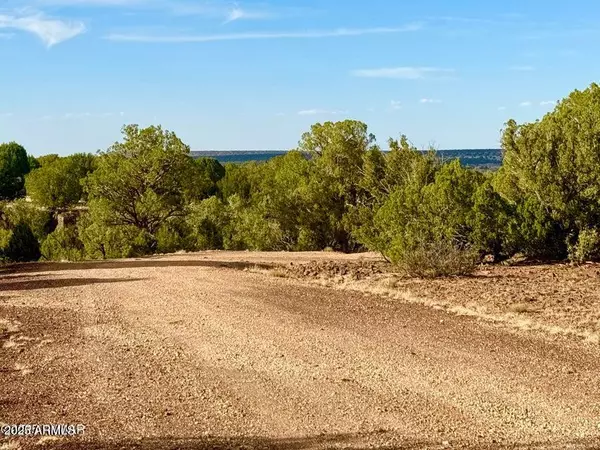 Show Low, AZ 85901,1842 Rocky Bottom Place #-