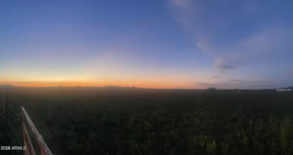 Mcneal, AZ 85617,W 20 Acres W Lee Road #-