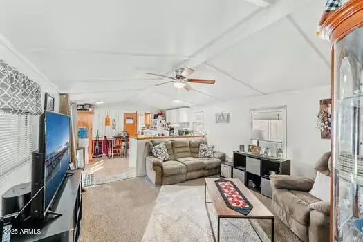 Apache Junction, AZ 85120,10220 E APACHE Trail #223