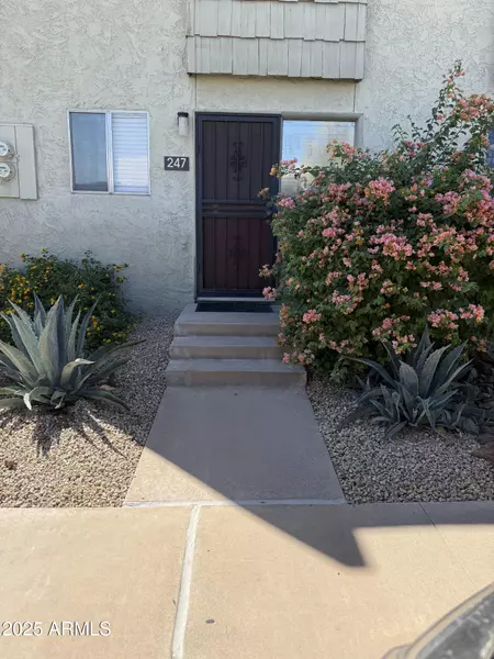 4630 N 68th Street #247, Scottsdale, AZ 85251