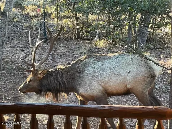 Pine, AZ 85544,6215 W SHARYN Road