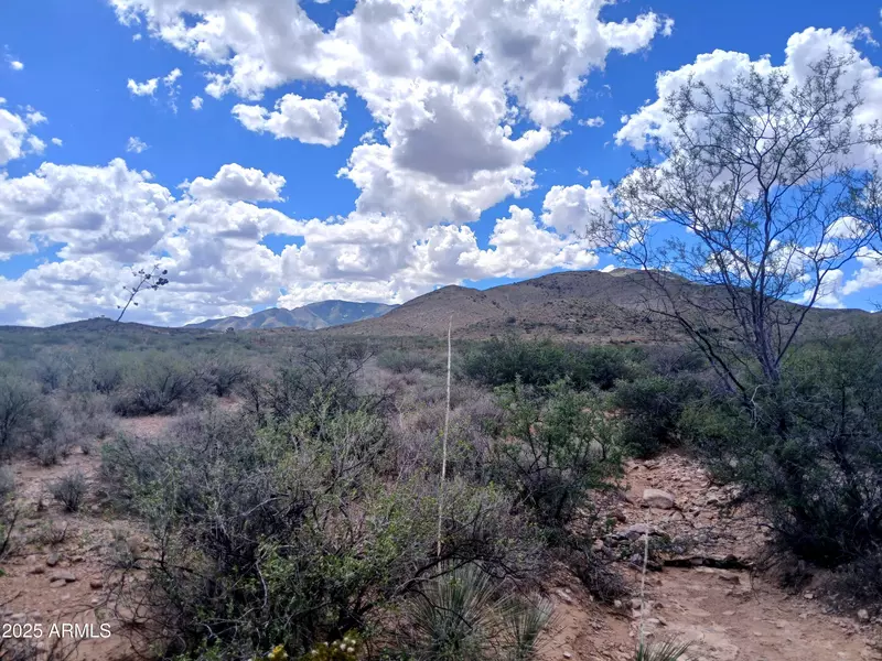 W Dragoon Road #-, Cochise, AZ 85606
