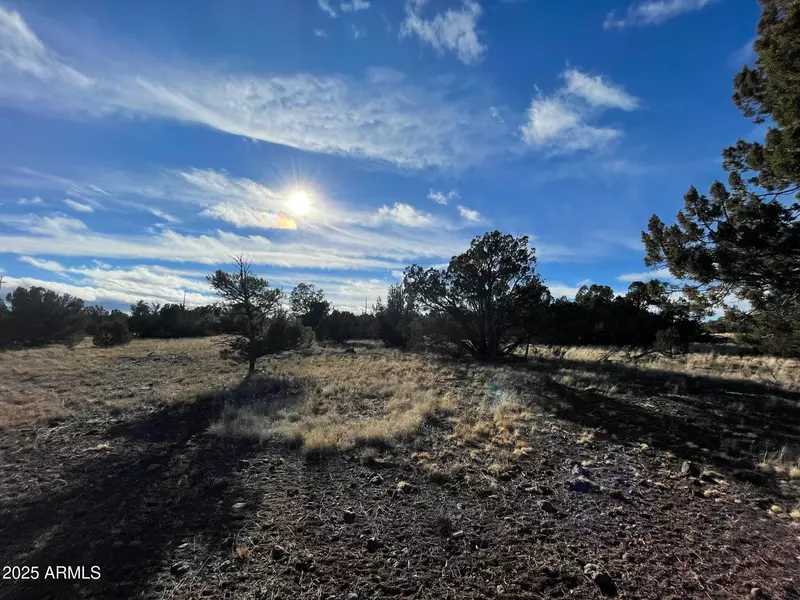 8459 Quail Run Drive #426, Show Low, AZ 85901