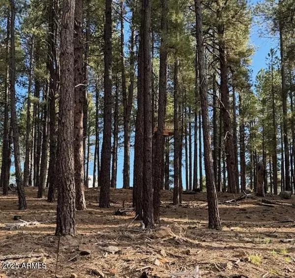Flagstaff, AZ 86001,9285 COYOTE PASS -- #-