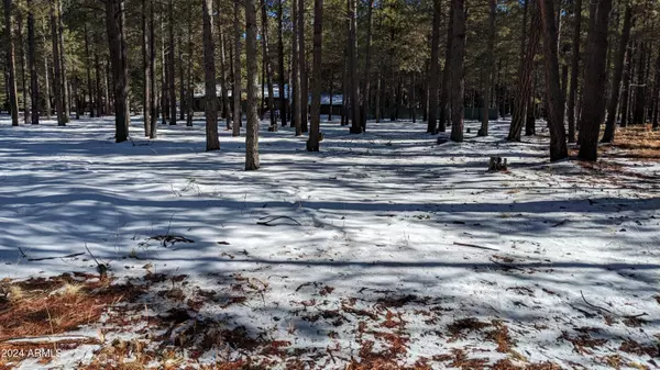 Forest Lakes, AZ 85931,1019 MERZVILLE Road #234
