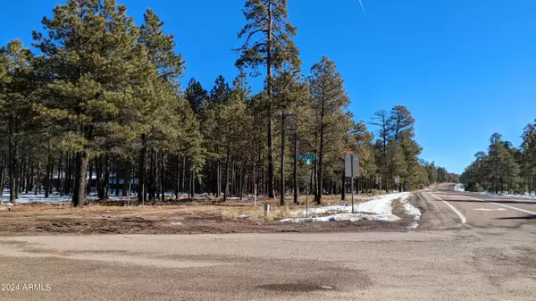 Forest Lakes, AZ 85931,1019 MERZVILLE Road #234