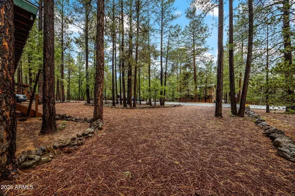 Pinetop, AZ 85935,3379 TURKEY TRACK Road