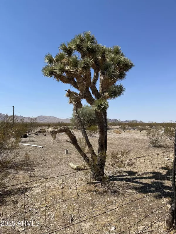 Dolan Springs, AZ 86441,N Jerry 368 Lane #368