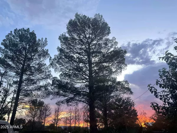 Mcneal, AZ 85617,9097 N MONTIE Avenue