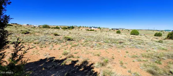 Taylor, AZ 85939,1190 S HAYSTACK Road #68