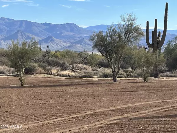 Scottsdale, AZ 85262,31207 N 161ST Place