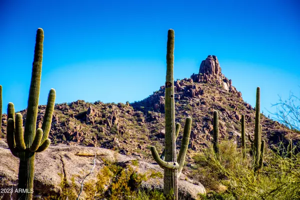 Scottsdale, AZ 85262,27777 N 95TH Street #1