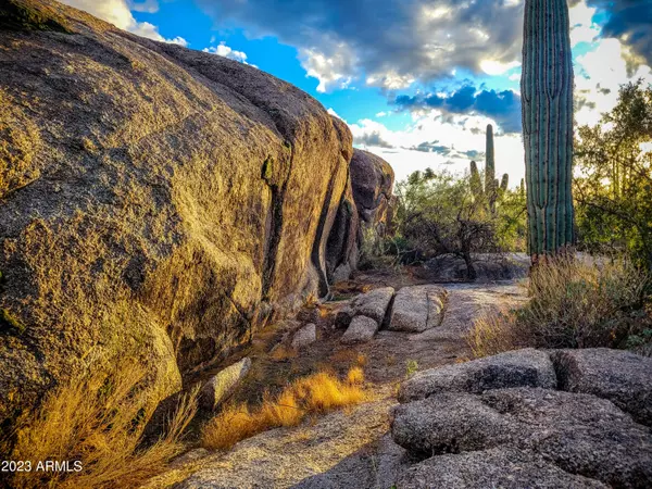 Scottsdale, AZ 85262,27777 N 95TH Street #1