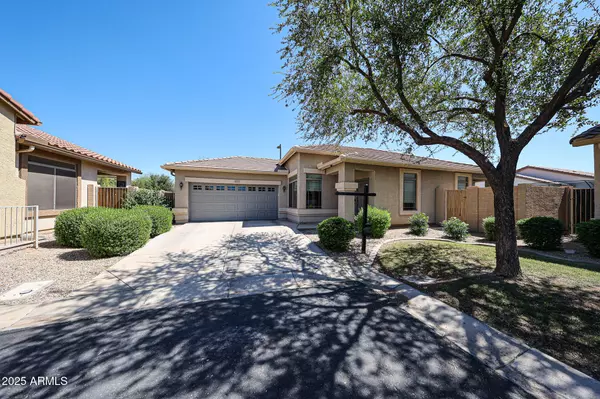 Chandler, AZ 85286,1337 E THOMPSON Way