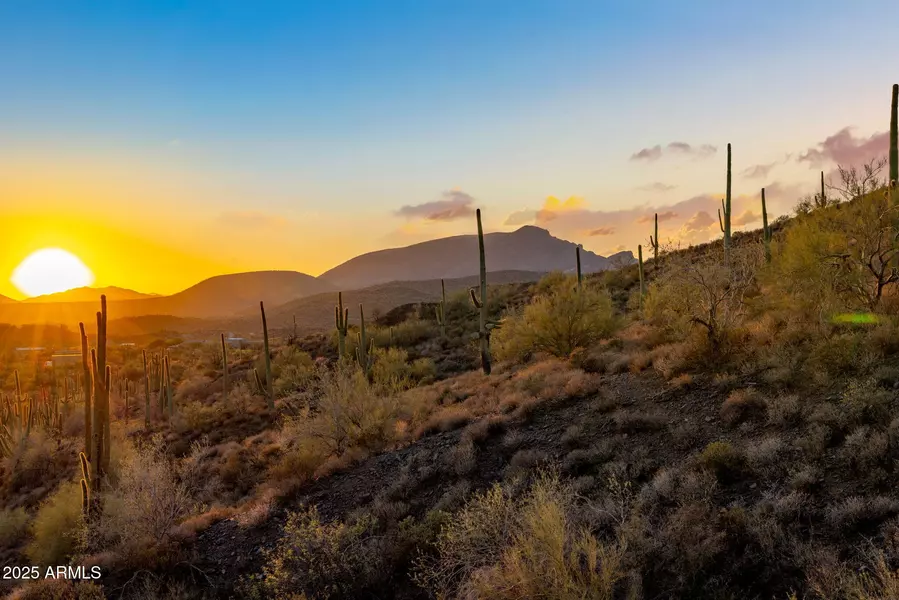 42000 N Fleming Springs Road #P, Cave Creek, AZ 85331