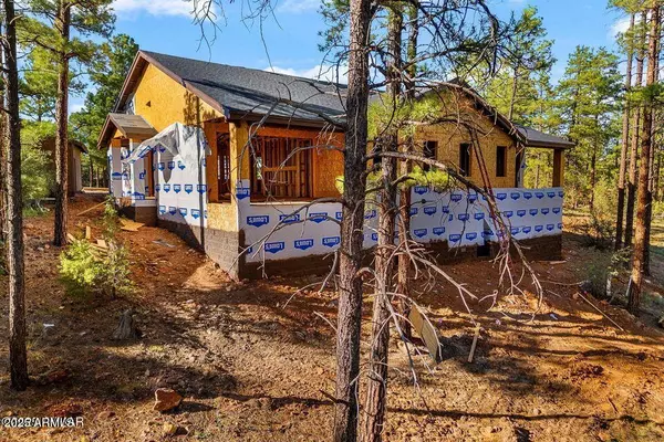 Show Low, AZ 85901,2711 W VILLA Loop