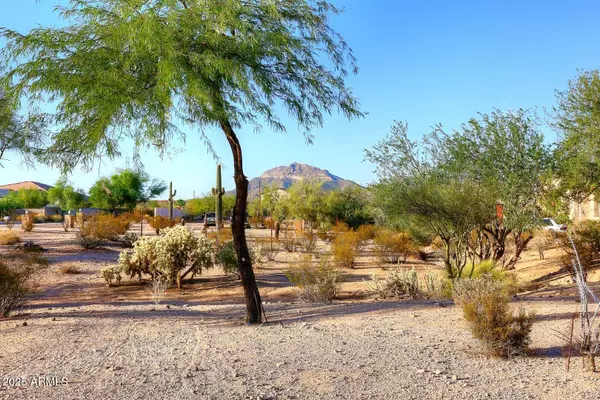 Mesa, AZ 85207,1105 N 110th Street