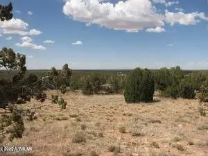 361 Chevelon Canyon Ranch -- #361, Heber, AZ 85928