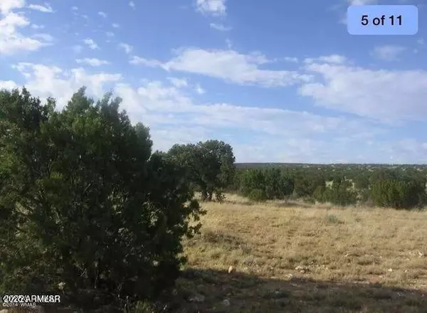 Heber, AZ 85928,361 Chevelon Canyon Ranch -- #361
