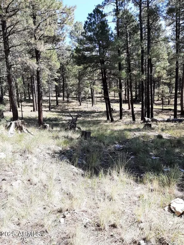 Happy Jack, AZ 86024,2 Coconino Forest 137A Road #-