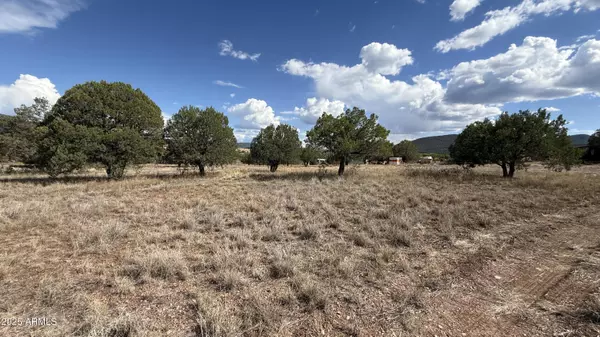 Young, AZ 85554,195 S Broken Trail