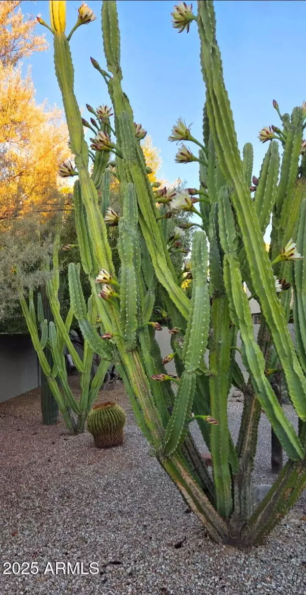 Gold Canyon, AZ 85118,18115 E VIA JARDIN --
