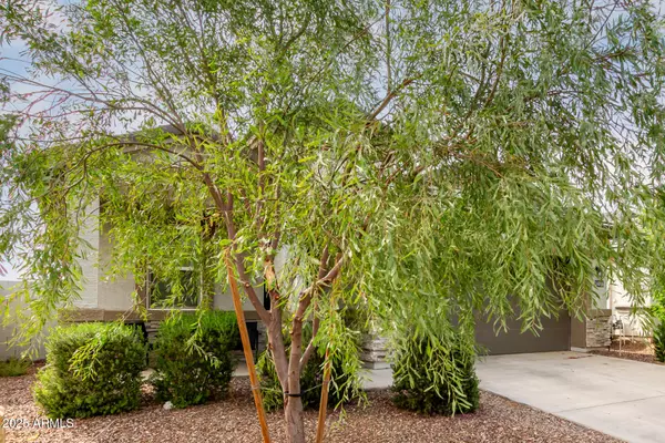 Wittmann, AZ 85361,24896 N 184TH Lane