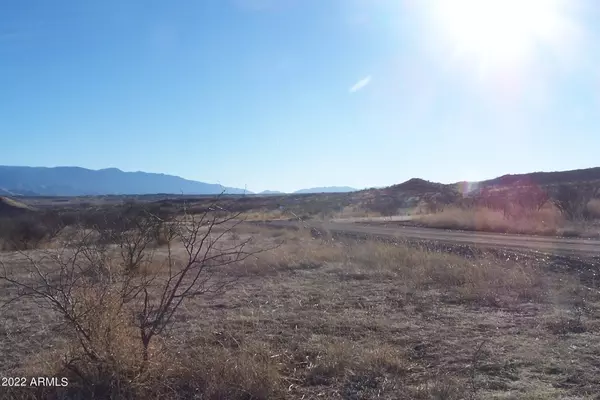 Willcox, AZ 85643,4423 W Grey Bear Road #101