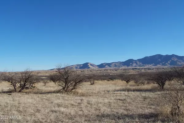 Willcox, AZ 85643,4423 W Grey Bear Road #101