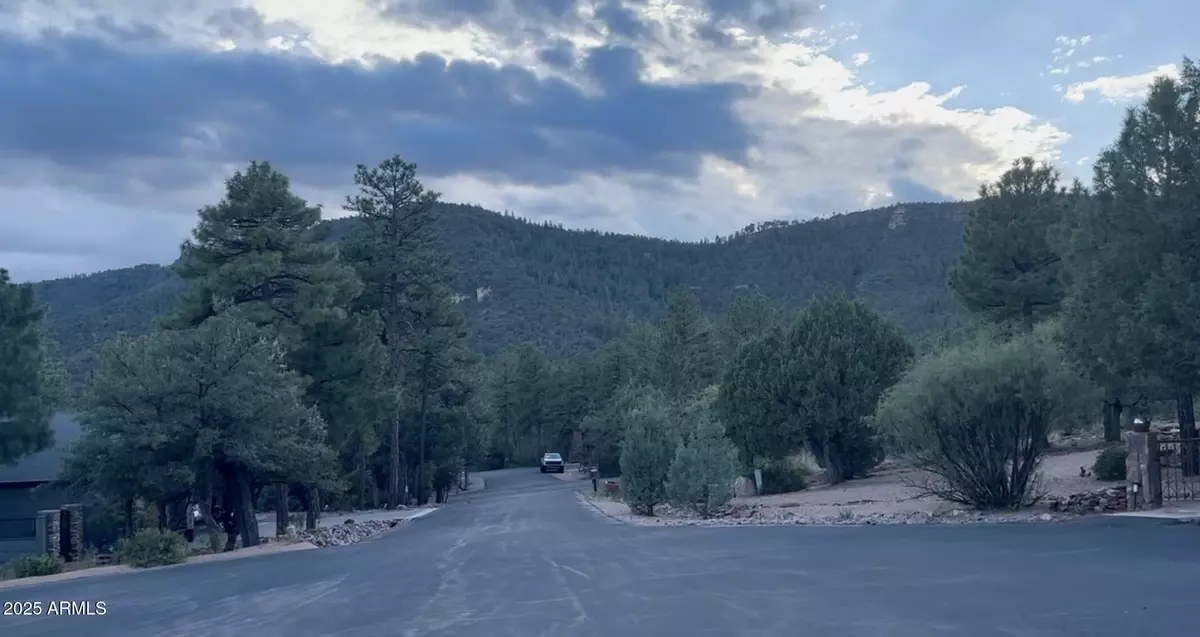 Pine, AZ 85544,0 W Windsong Lane #153