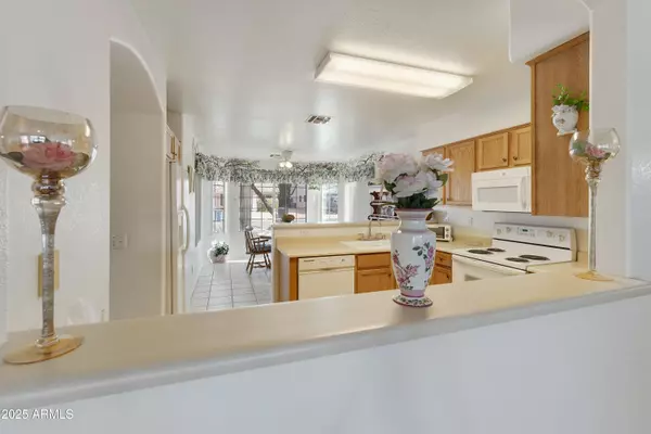 Apache Junction, AZ 85120,1163 W 15TH Lane