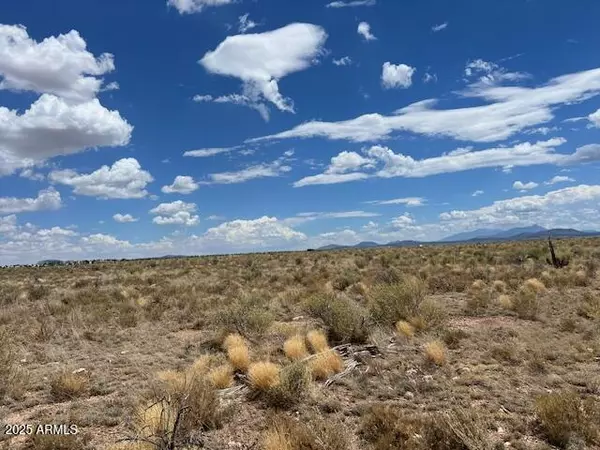 Williams, AZ 86046,663 S KAIBAB Road #309