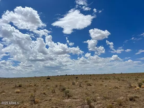 Williams, AZ 86046,3563 S EVA Drive #174