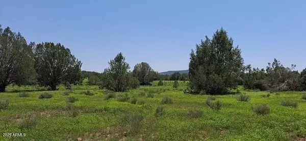 Seligman, AZ 86337,JOLLY -- #30110007H