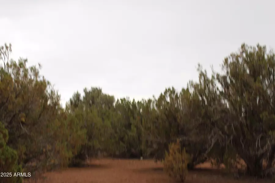 8 T11N, R22E: Port Of Parcel 3 -- #'_', White Mountain Lake, AZ 85912