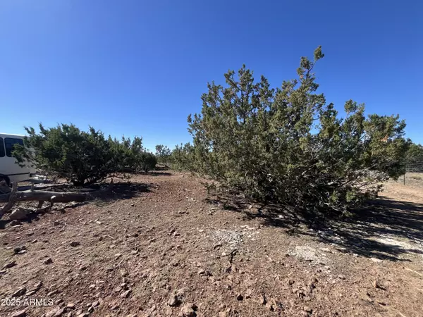 Williams, AZ 86046,613 MOUNTAIN CAT Road #511