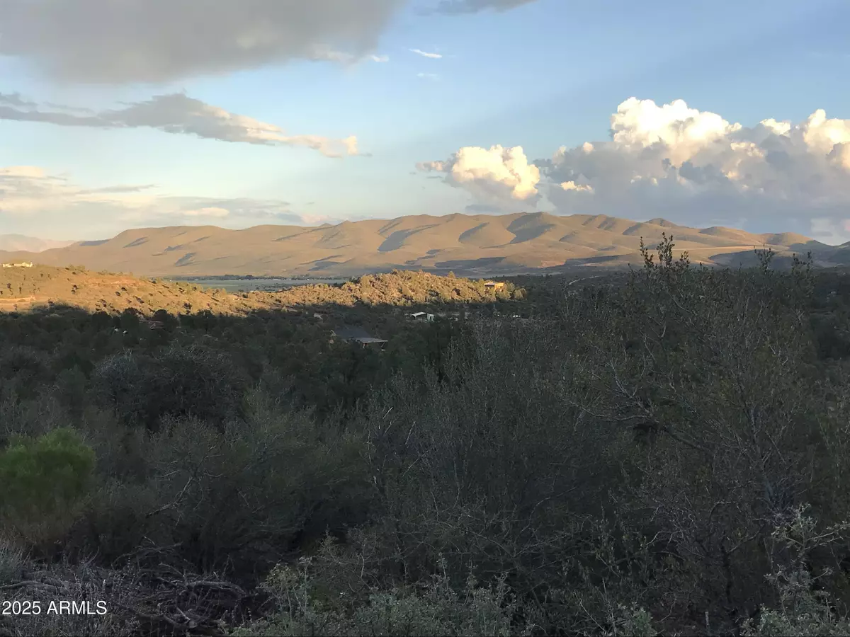 Peeples Valley, AZ 86332,0 W Buckhorn - W Drive #-