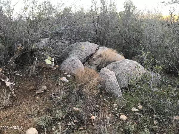 Peeples Valley, AZ 86332,0 W Buckhorn - W Drive #-