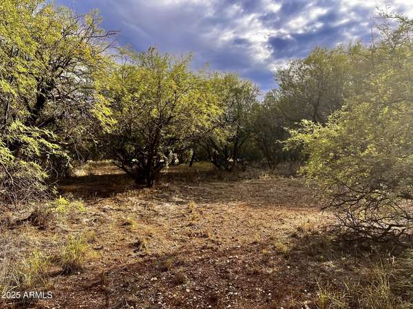 Rimrock, AZ 86335,4765 E LYNN Court #630