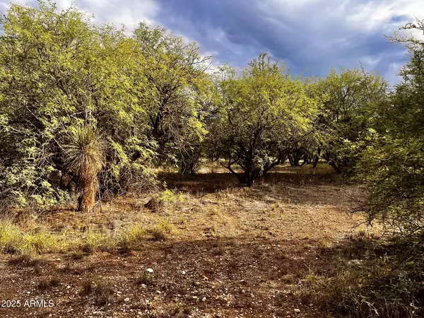 Rimrock, AZ 86335,4765 E LYNN Court #630