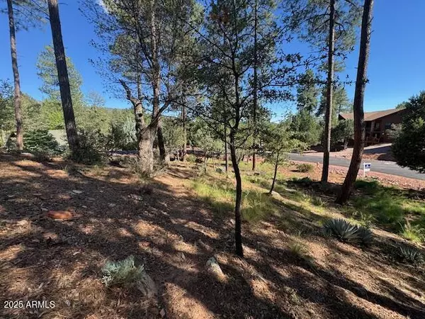 33 W Sage Court #33, Pine, AZ 85544