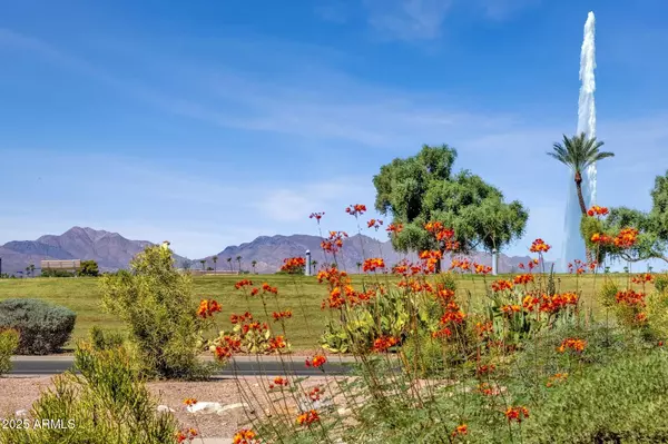 Fountain Hills, AZ 85268,16839 E MALLARD Court