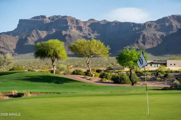 3045 S PRIMROSE Court, Gold Canyon, AZ 85118
