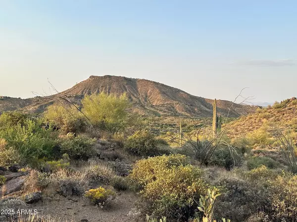 Scottsdale, AZ 85262,9264 E BRAHMA Road #12
