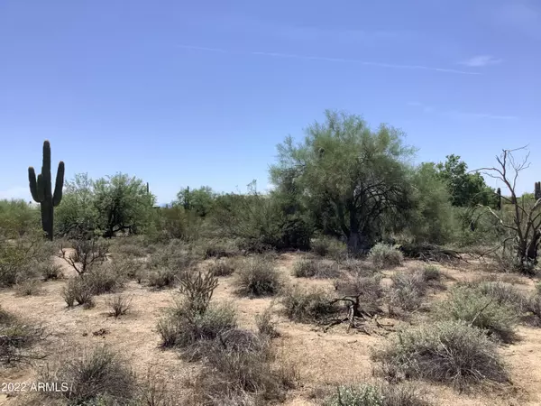 Scottsdale, AZ 85266,29628 N 76TH Street #5