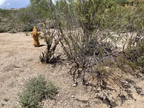 Scottsdale, AZ 85266,29628 N 76TH Street #5